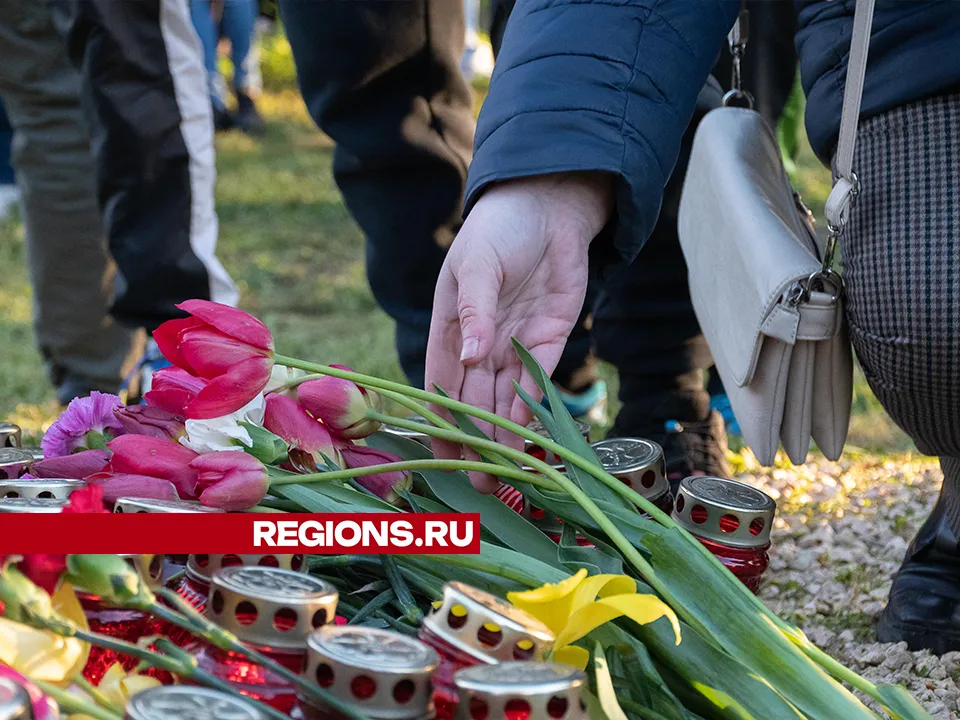 Фото: Евгений Мазепов