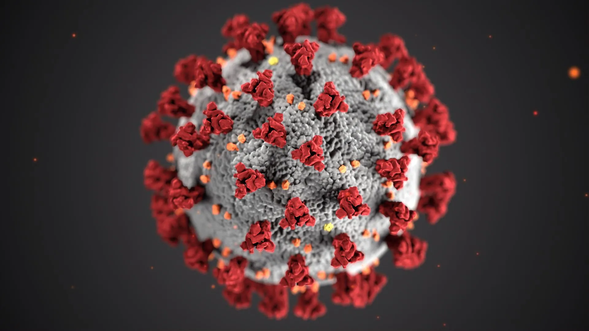 CDC