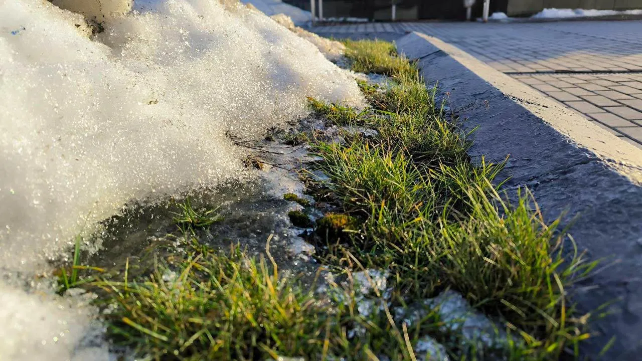 REGIONS/Роман Малышенко