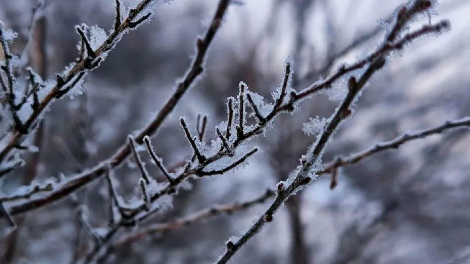 REGIONS/Роман Малышенко