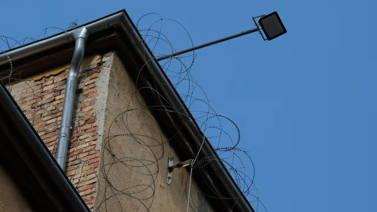 Бизнесмена Коноплева отпустили из СИЗО на следующий день после ареста по делу о перестрелке у Wildberries