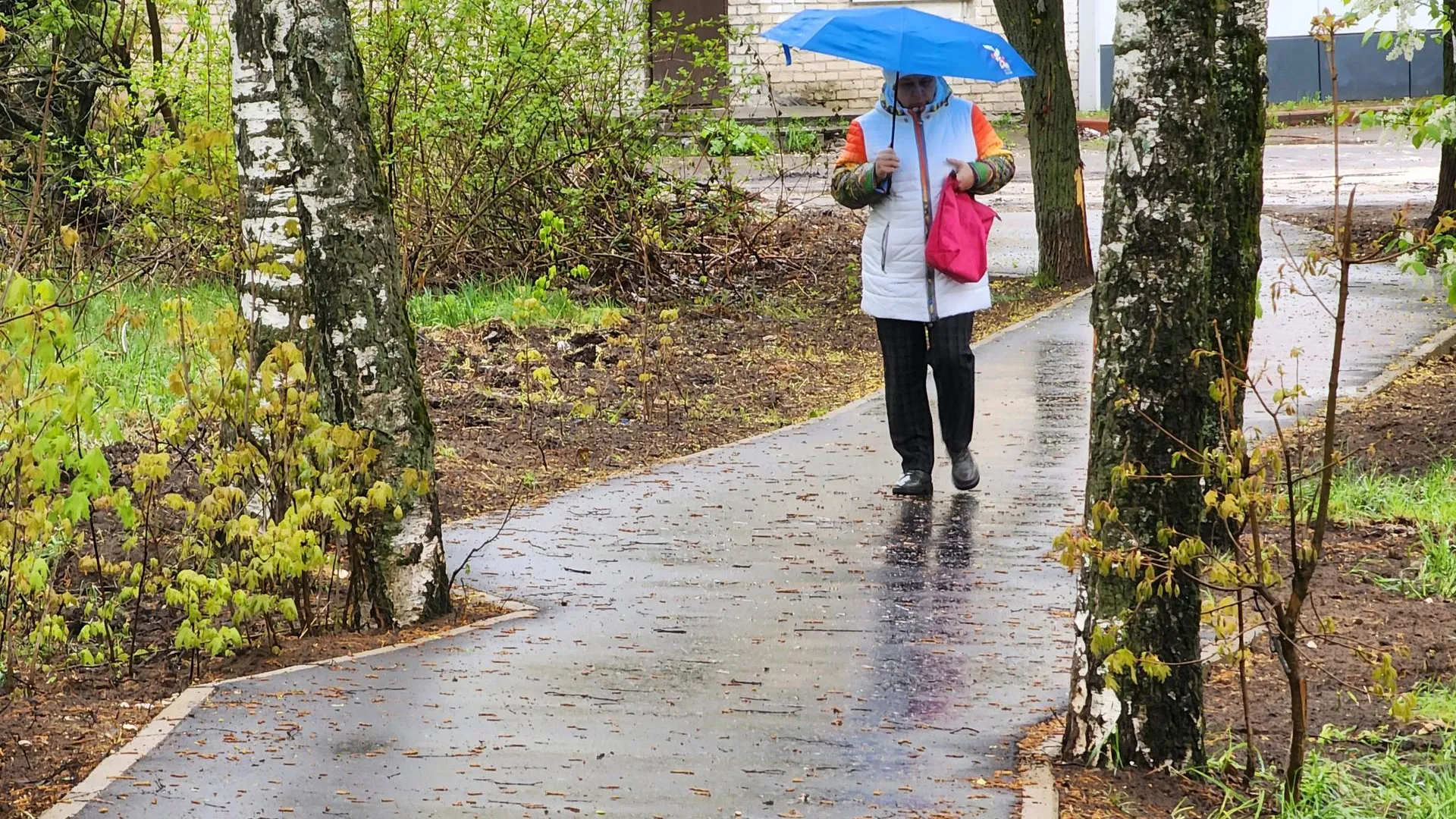 Фото: Светлана Плотникова