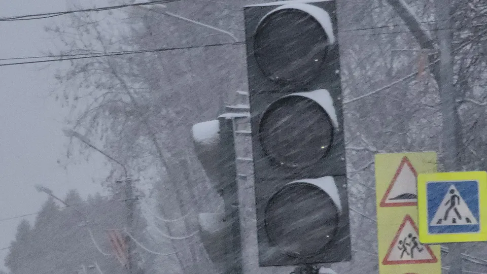 Фото: МедиаБанк Подмосковья/Алёна Притула