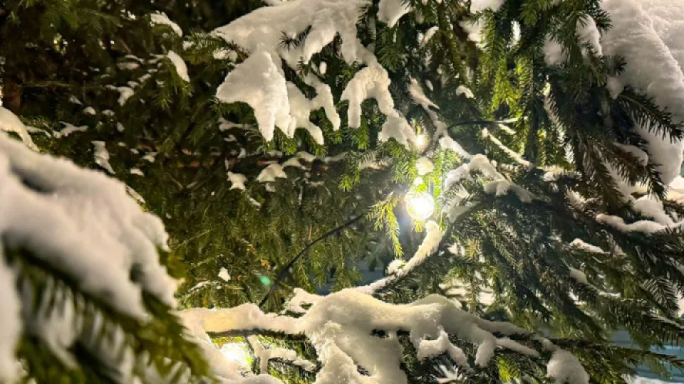 Фото: REGIONS/Владимир Ерастов