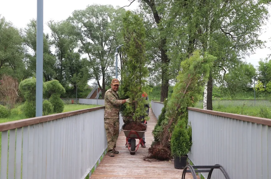 Фото: пресс-служба Администрации г.о. Волоколамск