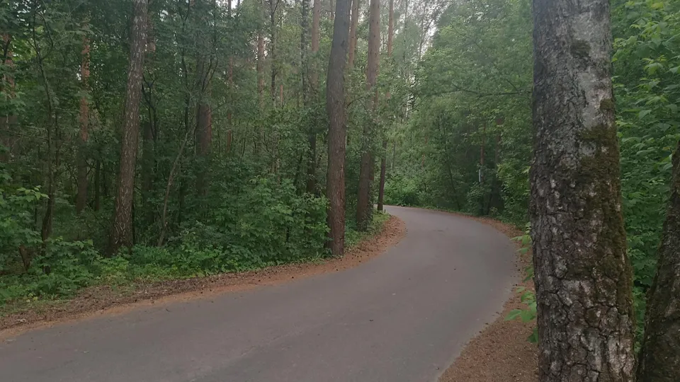 Фото: Анна Дука