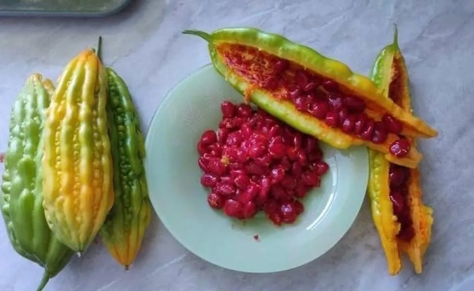 Фото: Администрация городского округа Истра / ВКонтакте