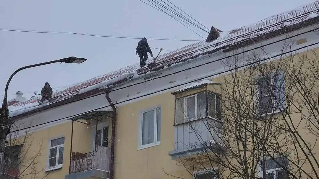 МедиаБанк Подмосковья/Ирина Моисеева