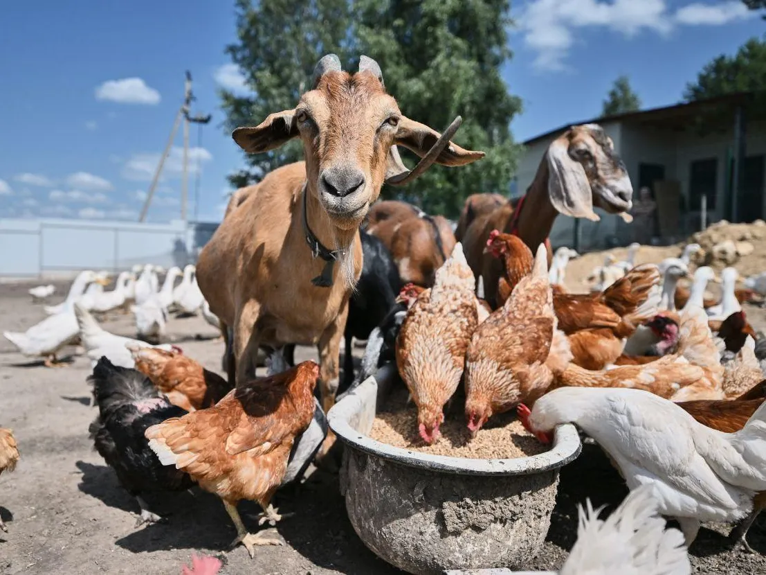 Фото: семейный архив семьи Гомыляевых