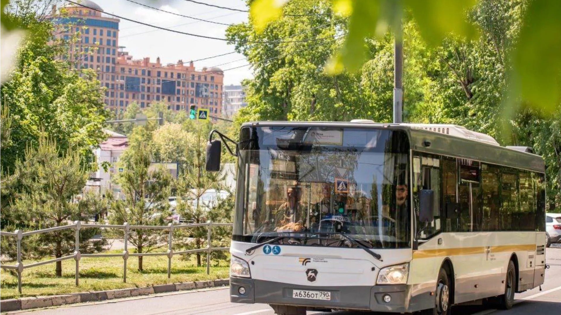 Фото: пресс-служба администрации городского округа Реутов