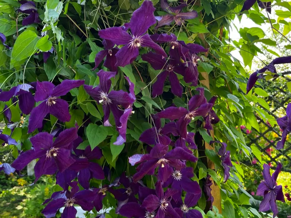 Фото: Галина Милых