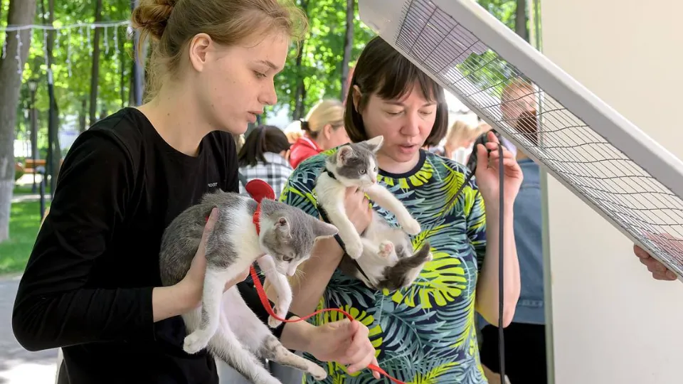 Фото: пресс-служба администрации г. о. Подольск