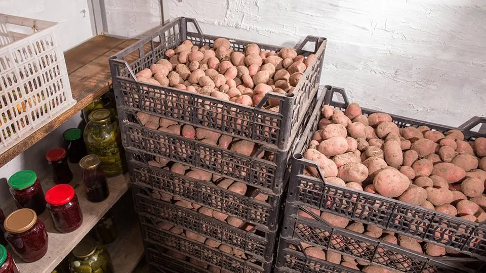 Фото: istockphoto.com/Evgeny Tkachev