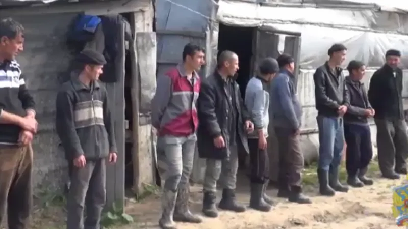 Сто десять нелегалов выявили полицейские в ходе рейда в Серпуховском районе