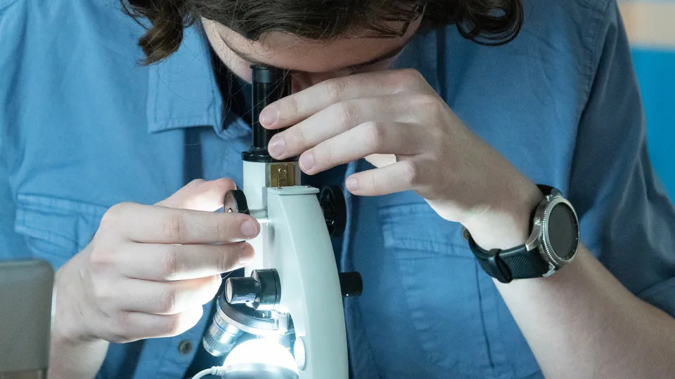 Фото: REGIONS/Наталия Надточая