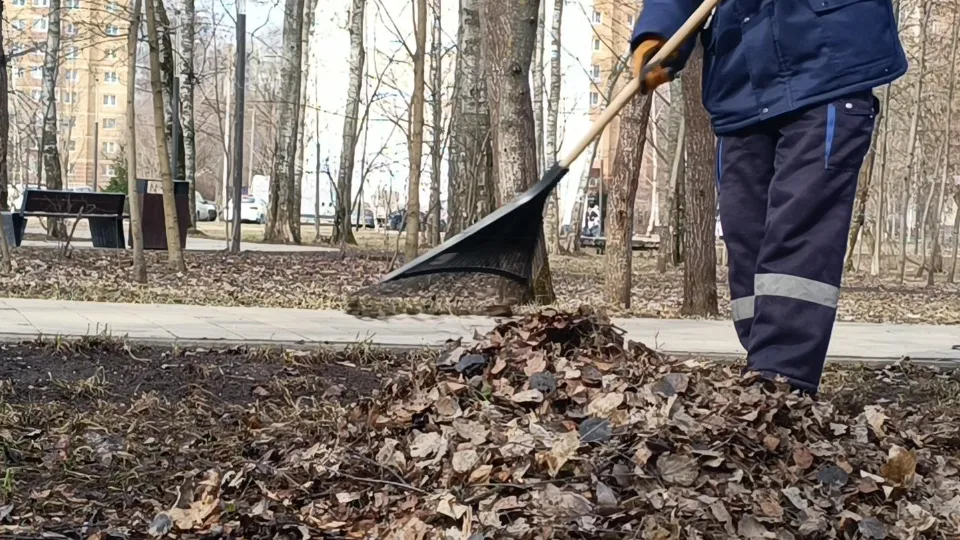 Фото: Екатерина Дятловская