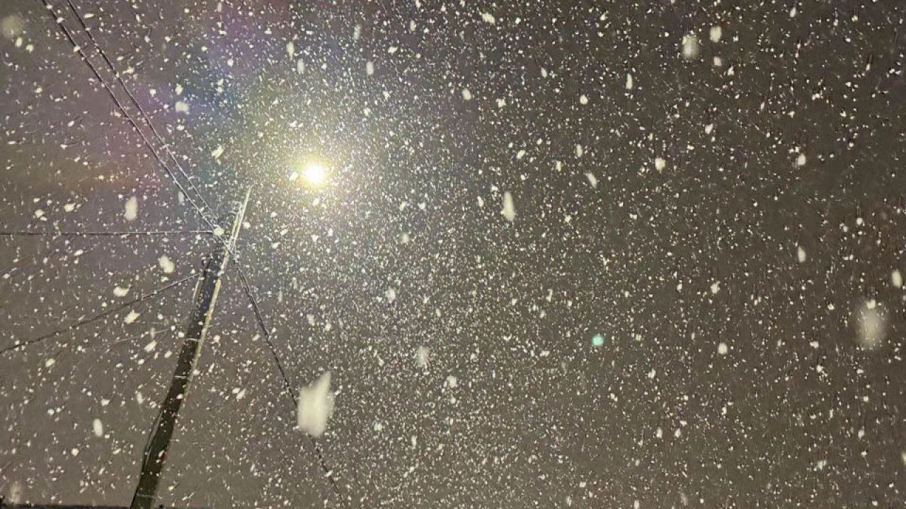 REGIOONS/Евгения Макаренко