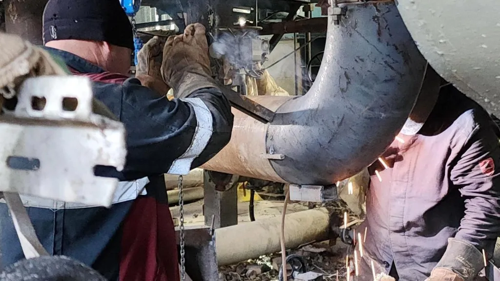 Фото: Медиабанк Подмосковья/Нина Басистая