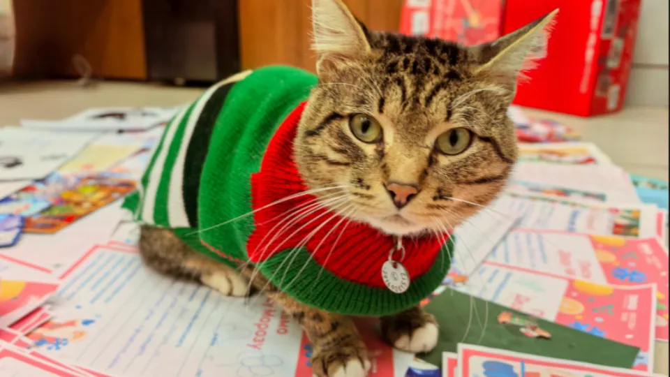 Фото: парковый комплекс г.о. Клин