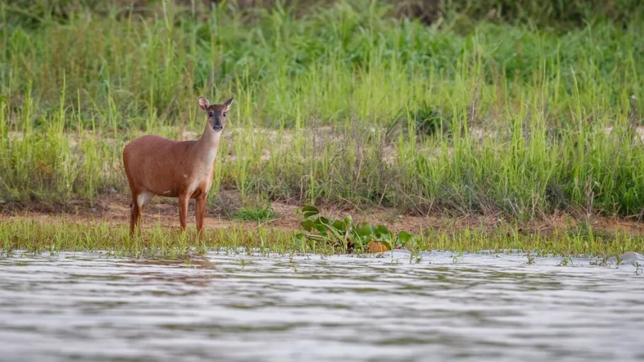 Фото: freepik.com