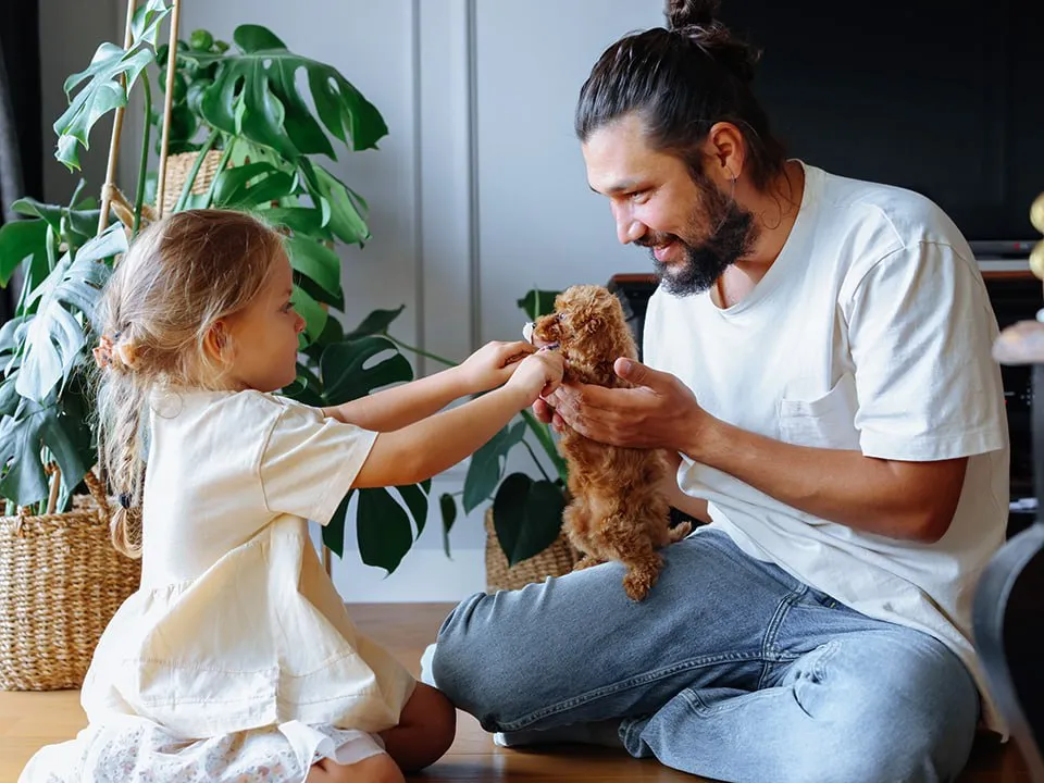 Фото: istockphoto.com/ozgurcankaya