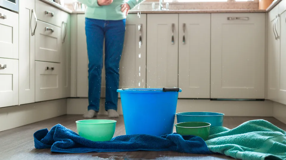 Фото: istockphoto.com/coldsnowstorm