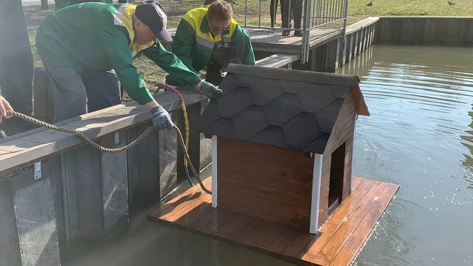 Фото: пресс-служба администрации г.о. Долгопрудный