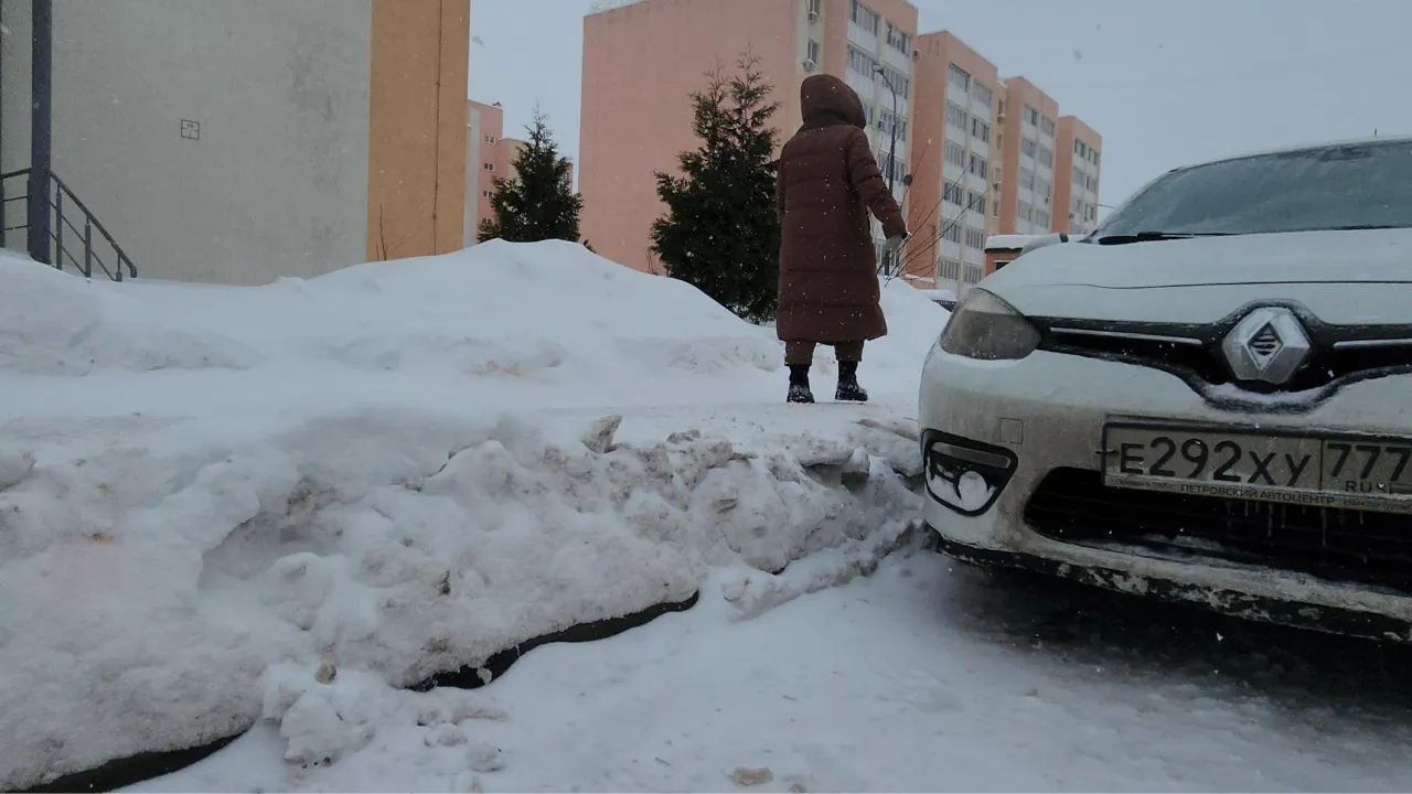 МедиаБанк Подмосковья/Наталья Лымарь