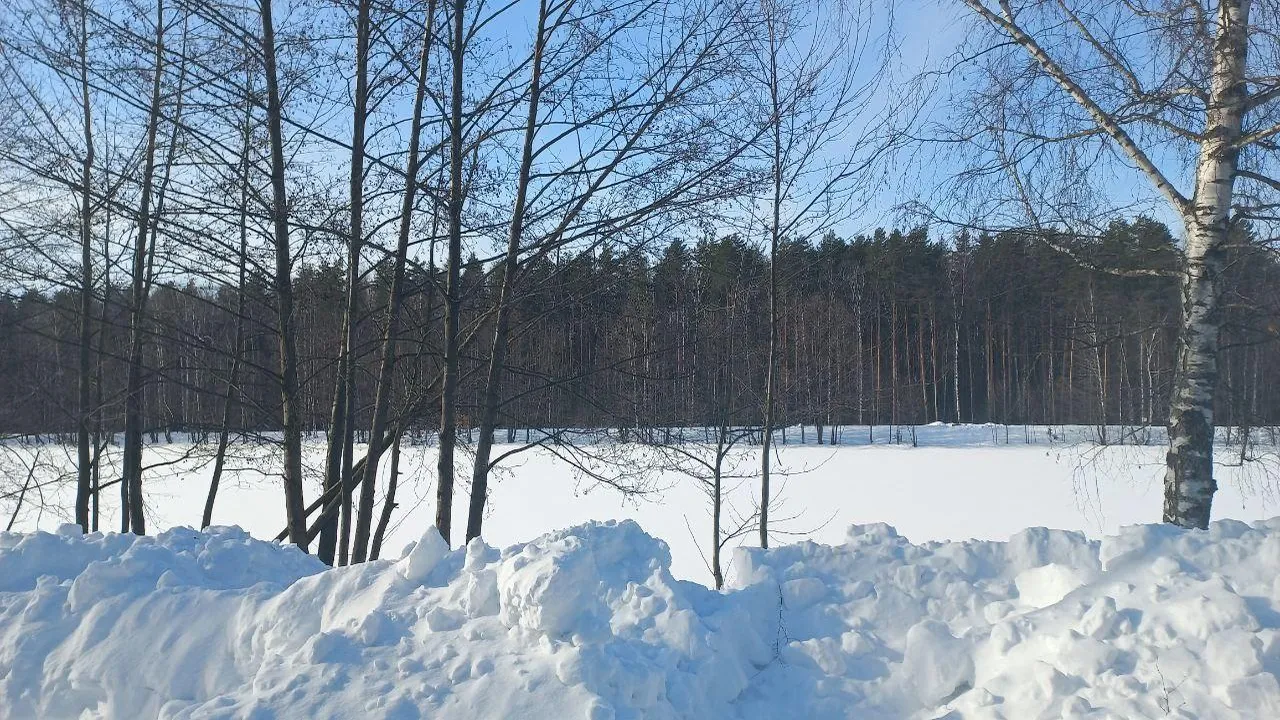 REGIONS/Олег Книжник