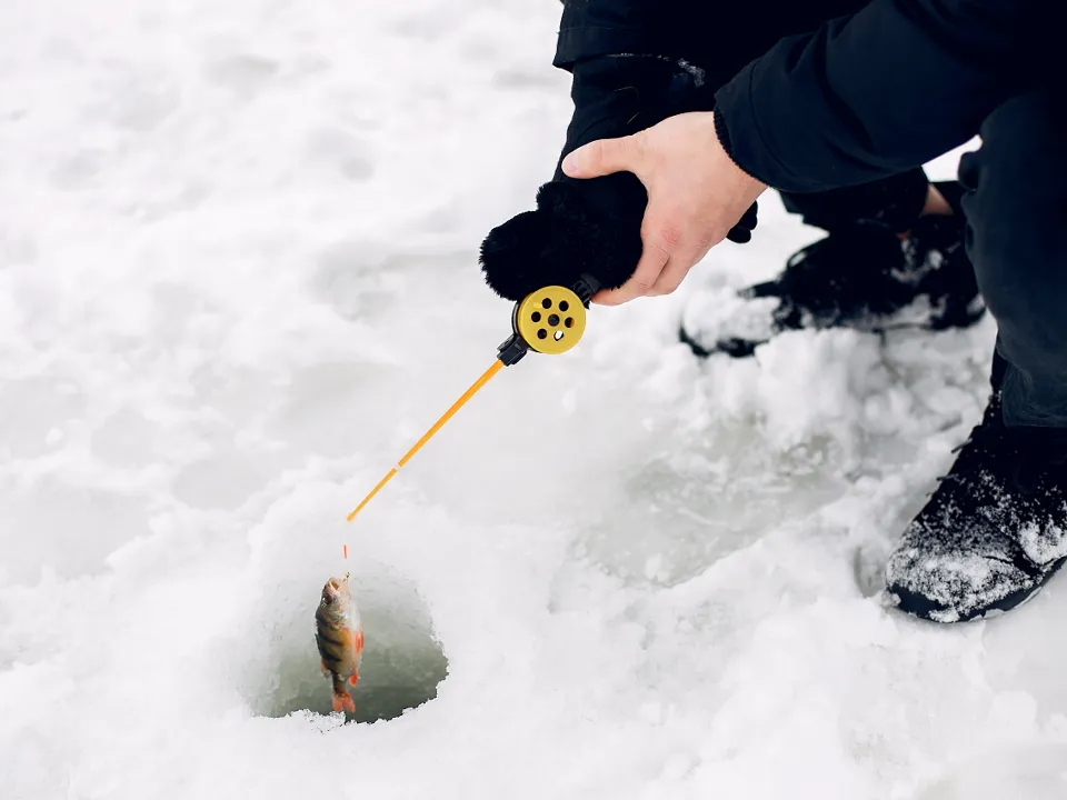 Фото: freepik.com