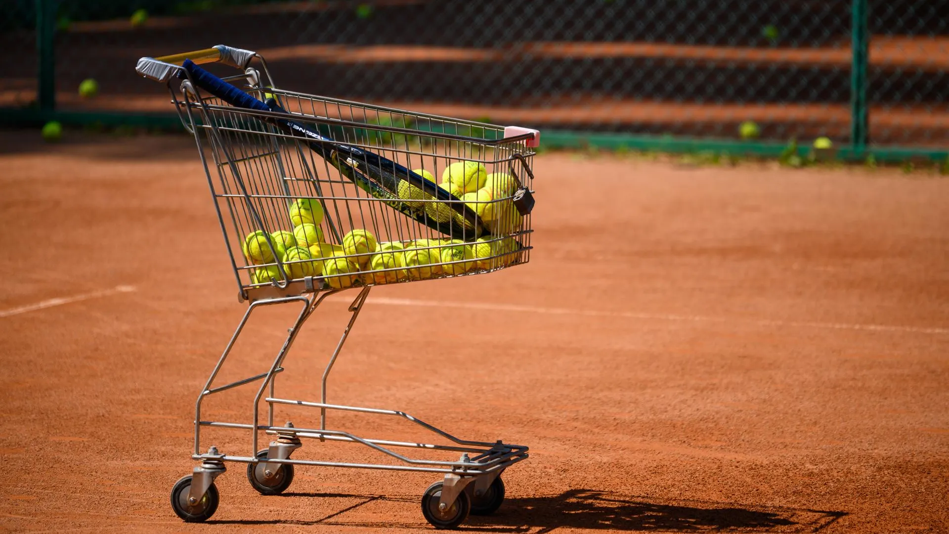 Подмосковные теннисистки получили золотую медаль на турнире WTA 1000 в Риме