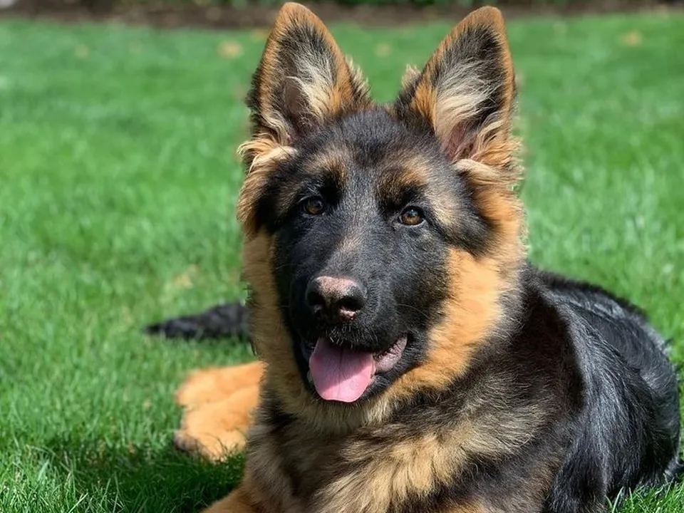 Фото: личный архив Кирилла Осипова