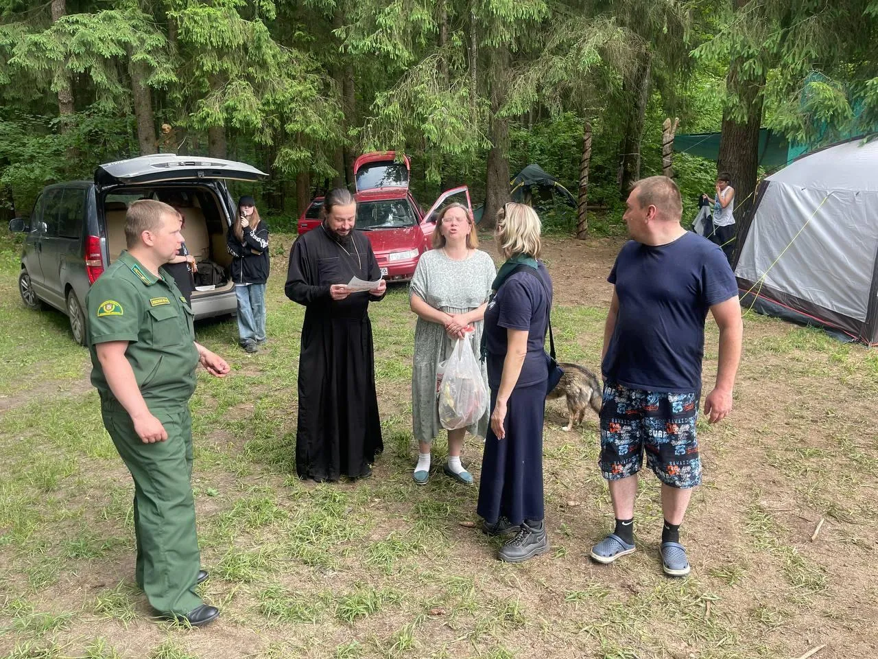 Фото: Комитет лесного хозяйства МО