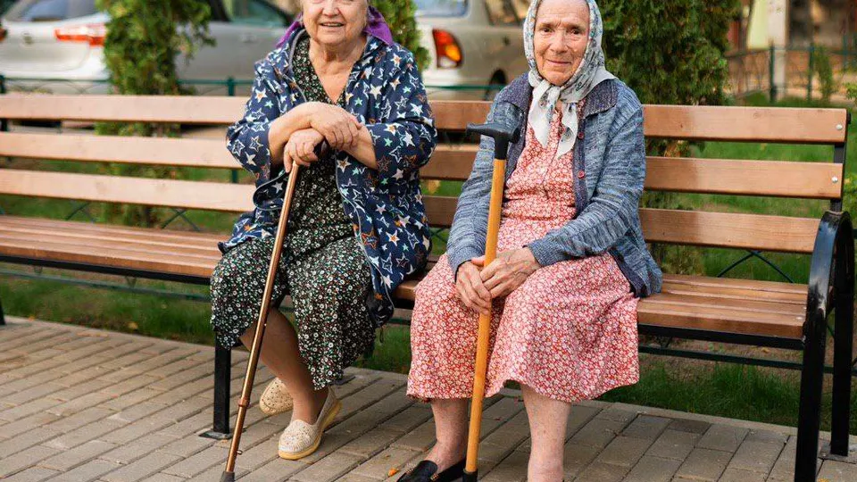 Фото: МедиаБанк Подмосковья/Яна Шаливская