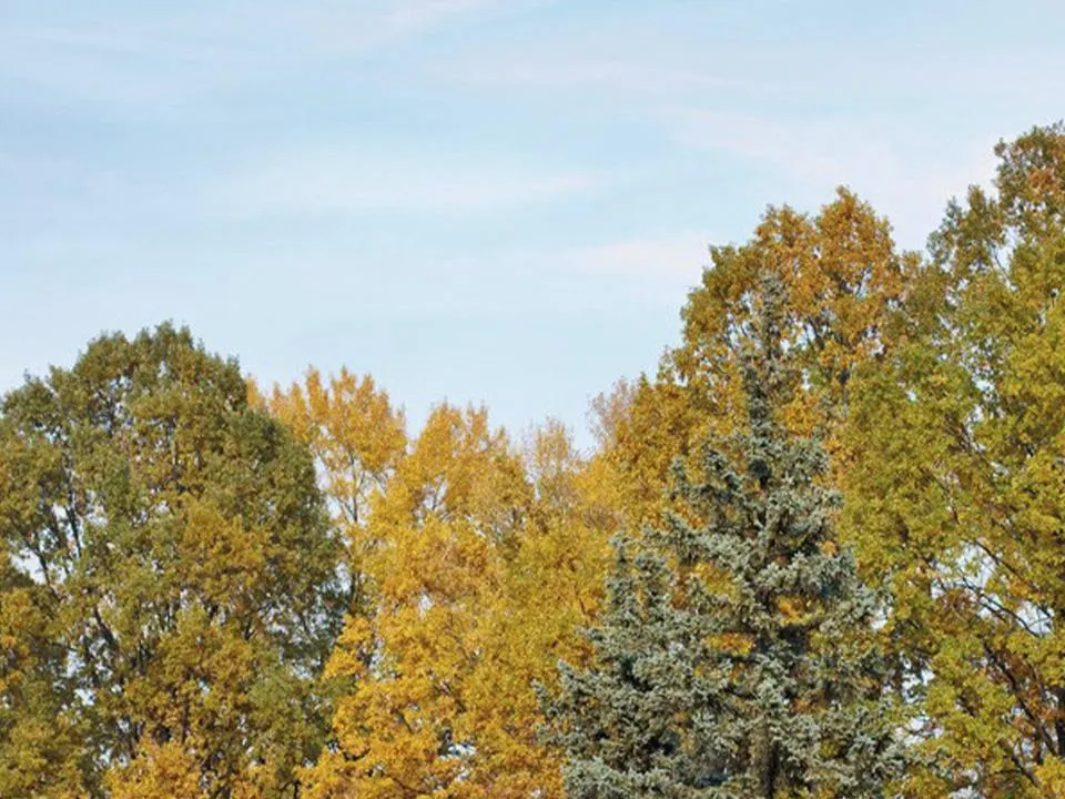 Не налегайте на витамины: врач рассказал, как не стоит укреплять здоровье к осени