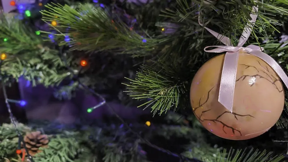 Фото: REGIONS/Роман Малышенко