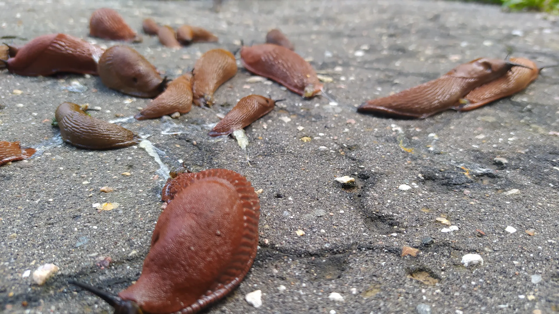 Фото: МедиаБанк Подмосковья/Владимир Киселев