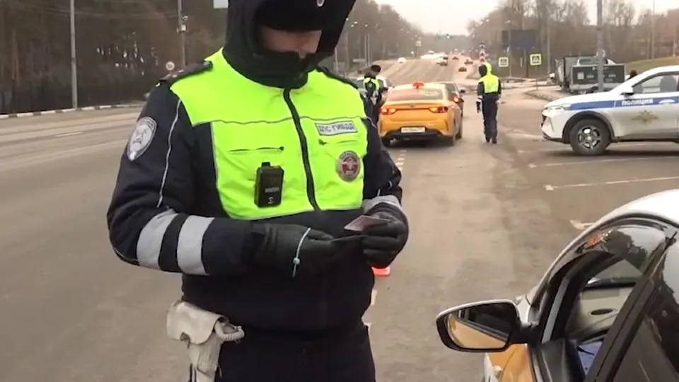 Фото: пресс-служба администрации г.о. Домодедово