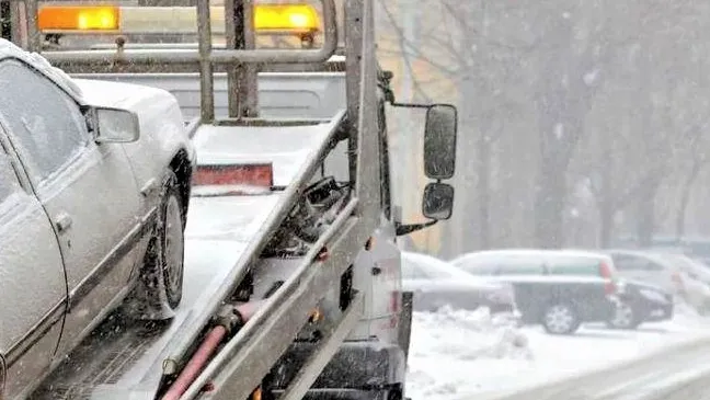 Фото: ГУСТ Московской области