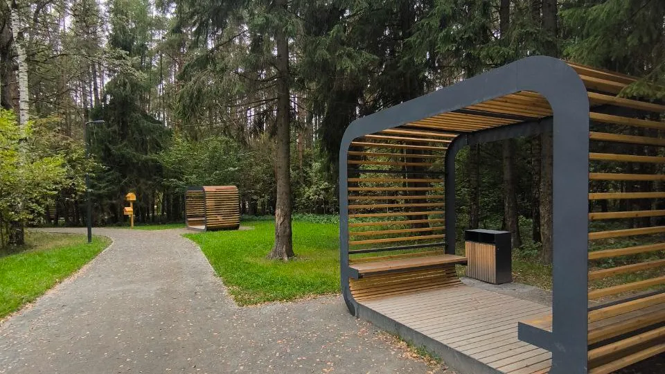 Фото: лесопарк «Дубки»