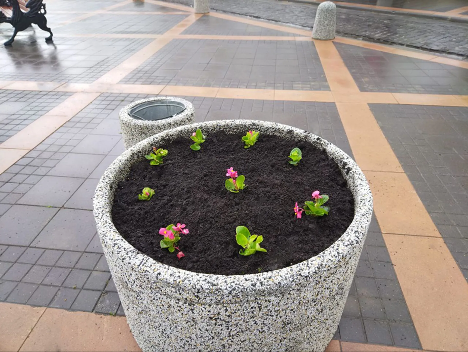 Фото: пресс-служба администрации г.о. Шатура