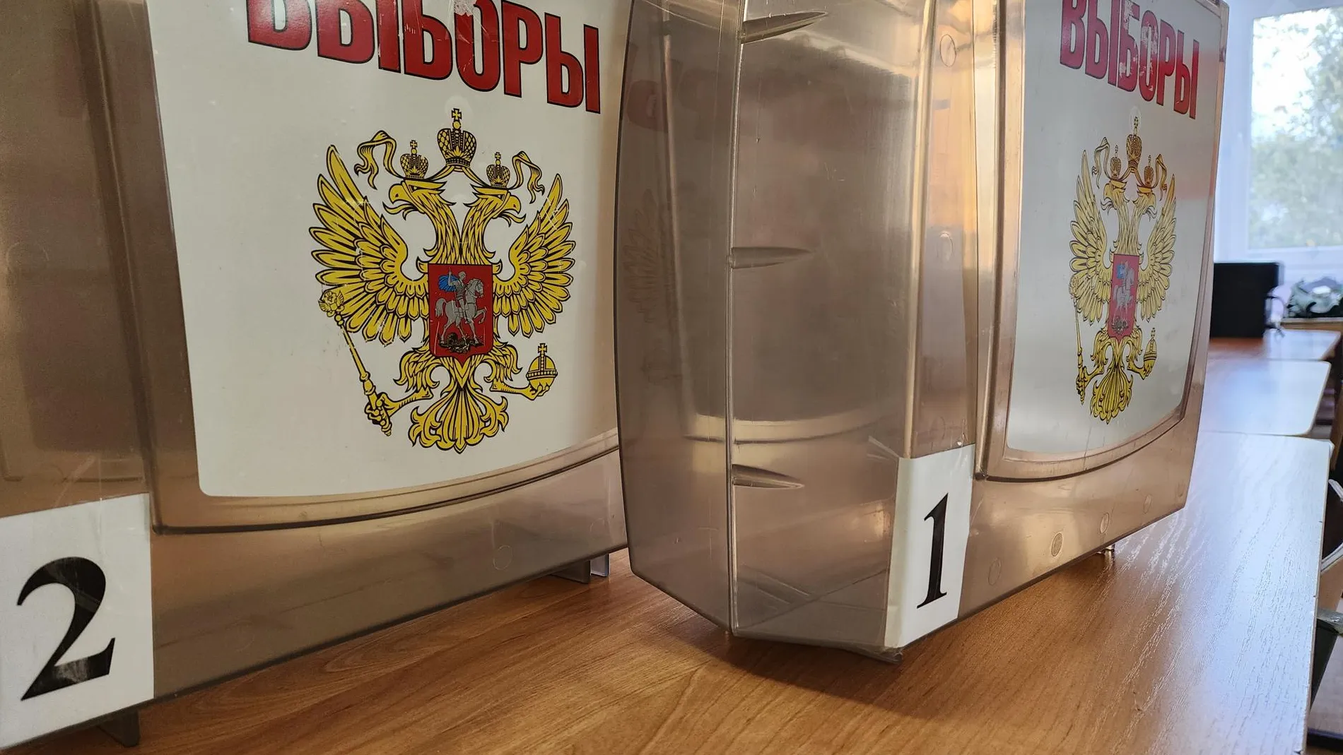 Фото: Светлана Плотникова