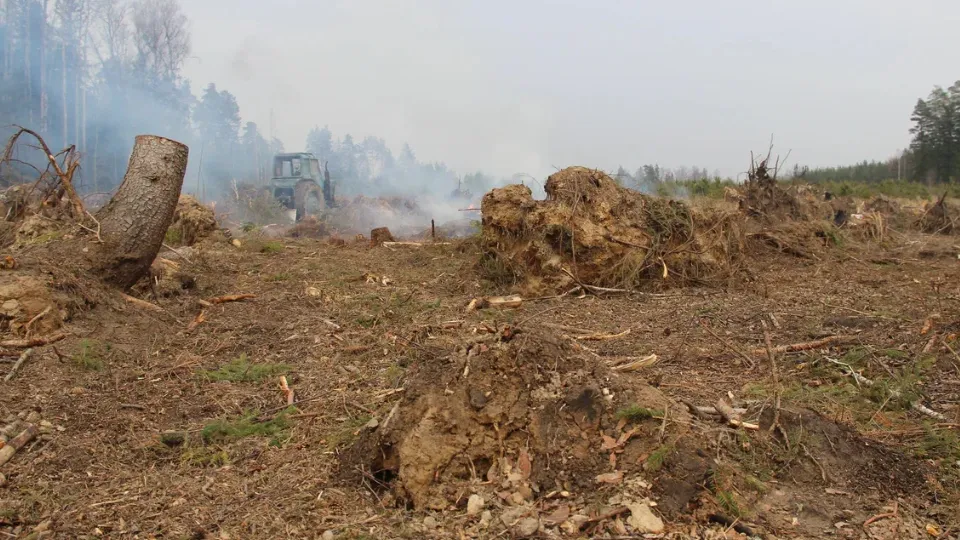 Фото: REGIONS/Василий Тремасов