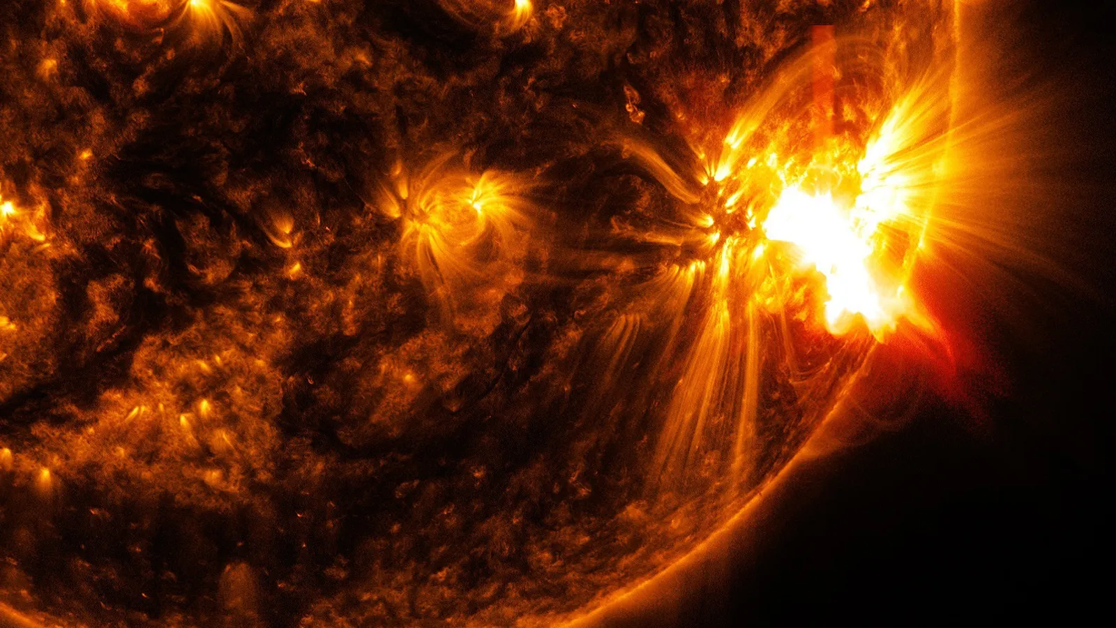 Фото: pxhere.com