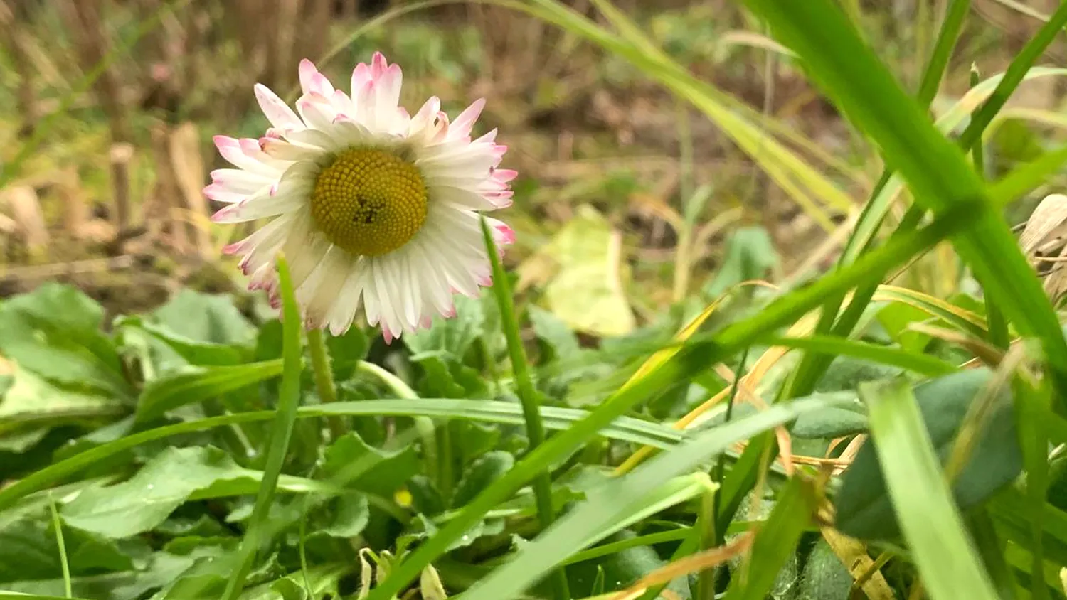 Фото: Екатерина Елисеева