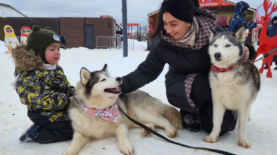 Фото: МедиаБанк Подмосковья/Валентина Максимова