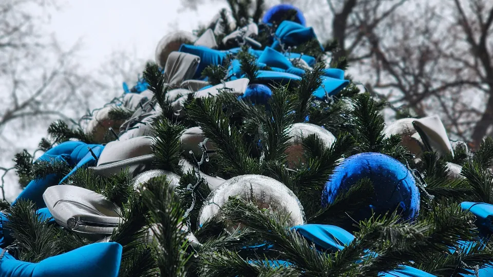 Фото: МедиаБанк Подмосковья/Валерия Тингаева