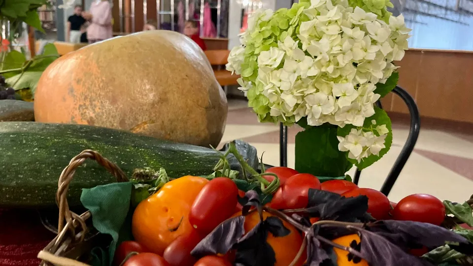 Фото: медиасток.рф