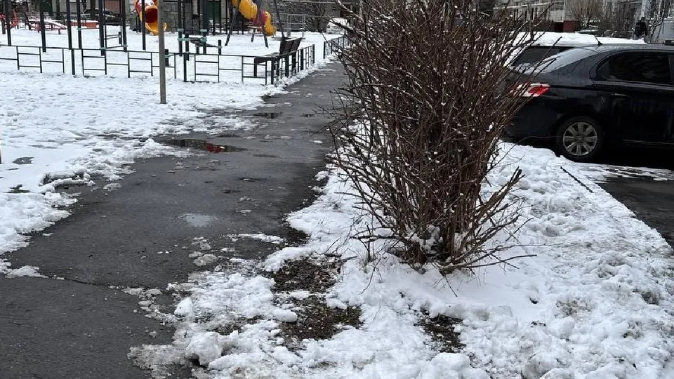 Фото: администрация Одинцовского городского округа