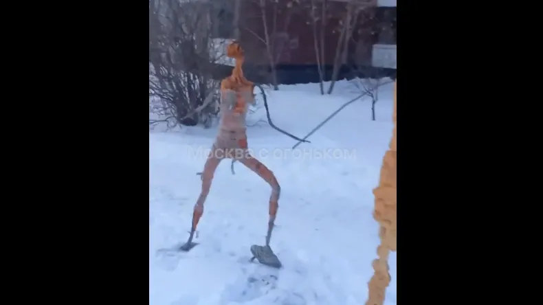 Фото: скриншот